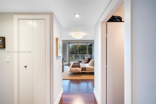 hallway featuring dark hardwood / wood-style flooring