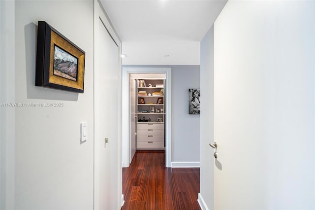 hallway featuring dark wood-type flooring