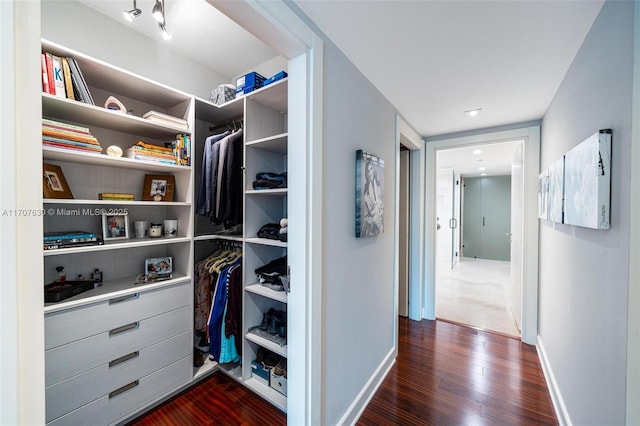 walk in closet featuring dark hardwood / wood-style flooring