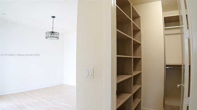 walk in closet featuring hardwood / wood-style floors