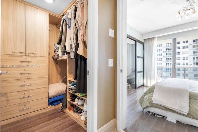 bedroom with dark hardwood / wood-style floors, floor to ceiling windows, and a closet