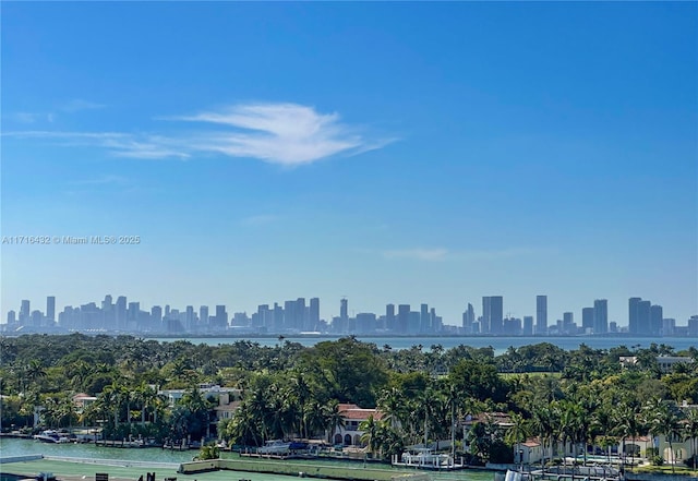 view of city featuring a water view