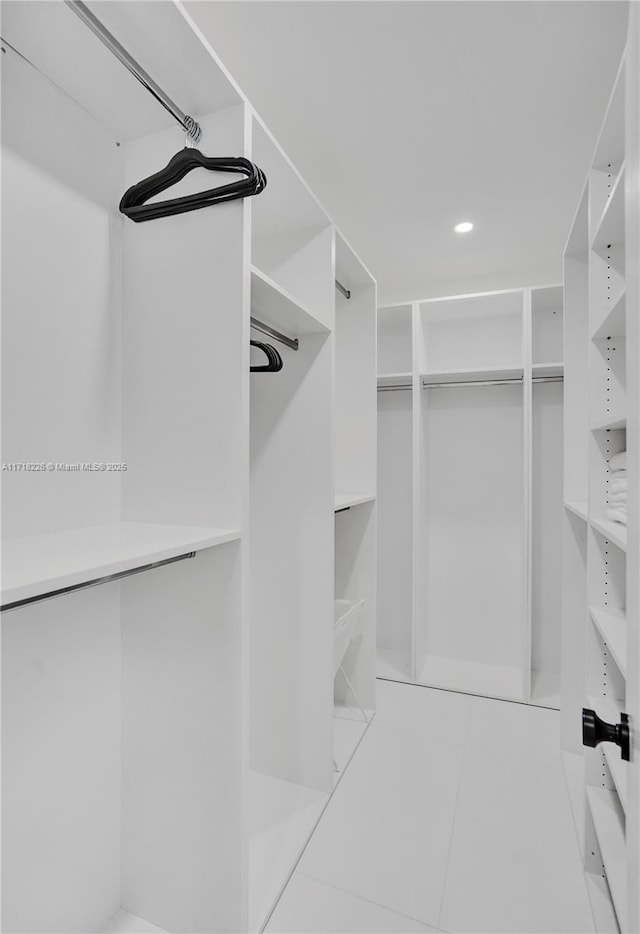 view of spacious closet