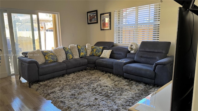 living room featuring hardwood / wood-style floors