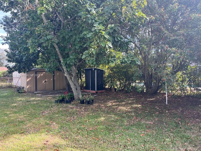 view of yard featuring a storage shed