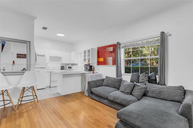 living room with light wood-type flooring