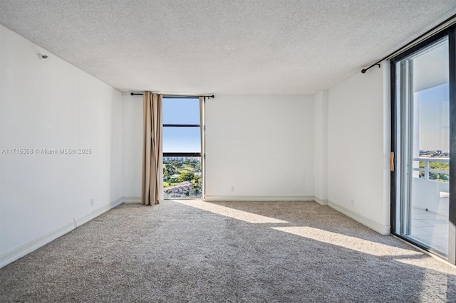 20355 NE 34th Ct Unit 1828, Aventura, FL 33180 - spare room with carpet flooring, a textured ceiling, and expansive windows