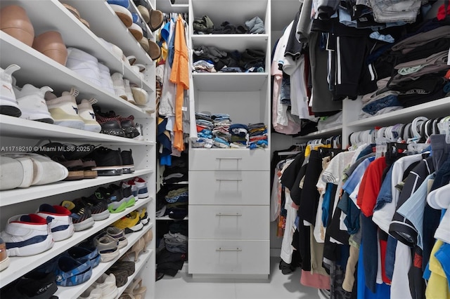 view of walk in closet