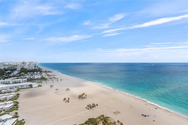 water view featuring a beach view