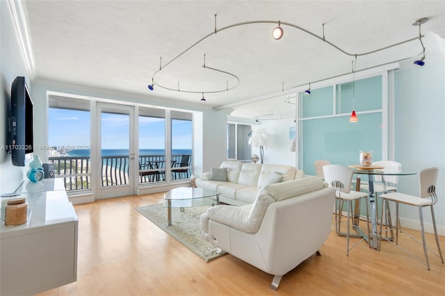 living room featuring expansive windows, light wood-type flooring, ornamental molding, and a wealth of natural light