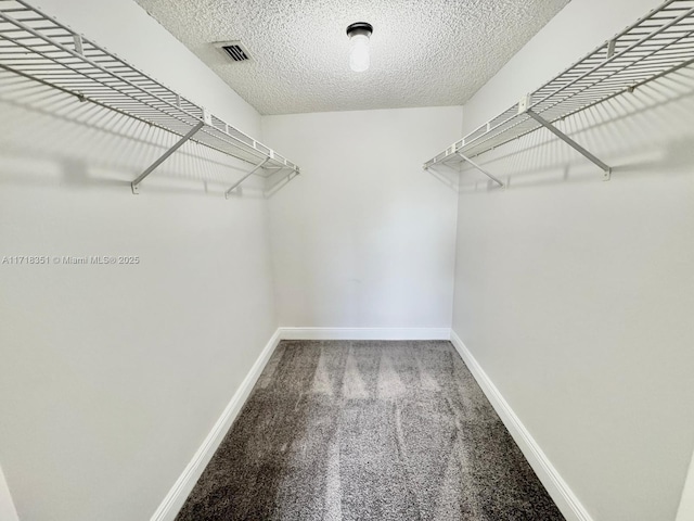 walk in closet featuring carpet