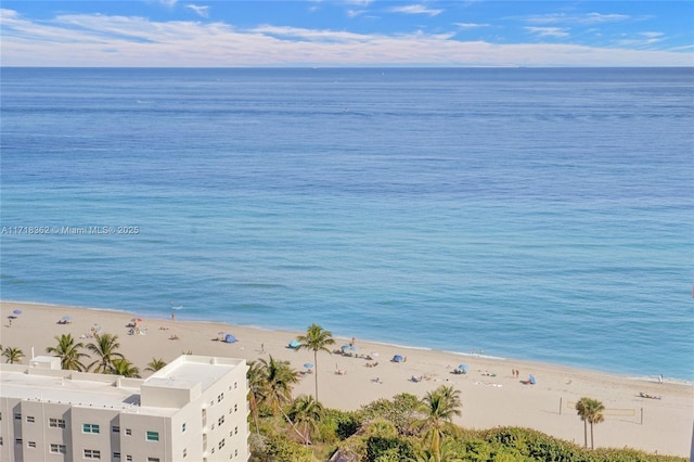 water view featuring a beach view