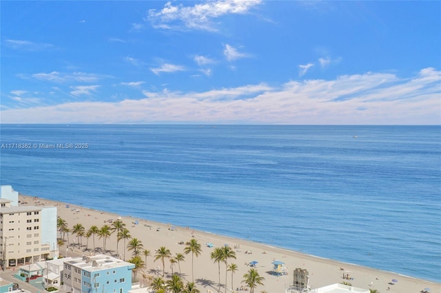 property view of water featuring a beach view