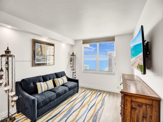 living room featuring light hardwood / wood-style floors