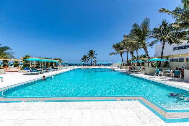 view of swimming pool with a patio