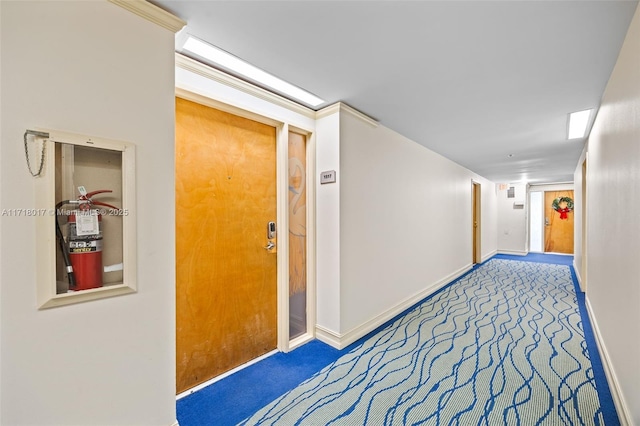 hall featuring carpet flooring