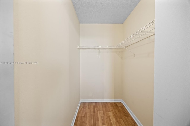 walk in closet with wood-type flooring