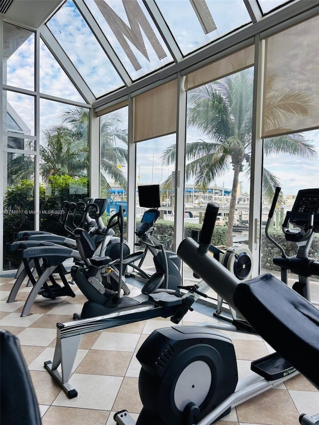 workout area featuring a wealth of natural light