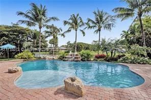 view of pool with a patio