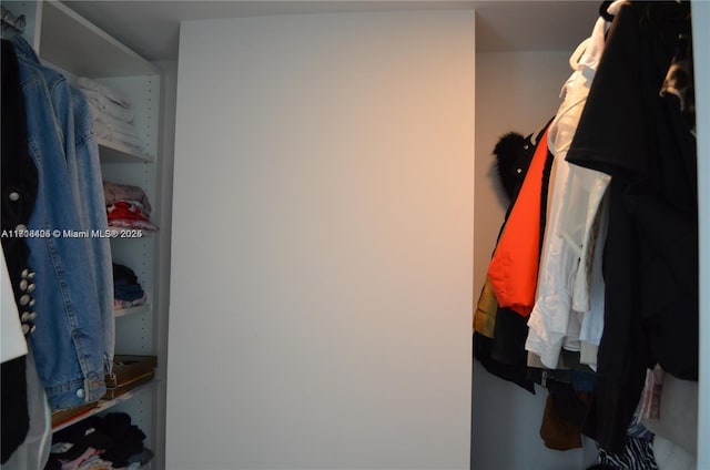 view of walk in closet