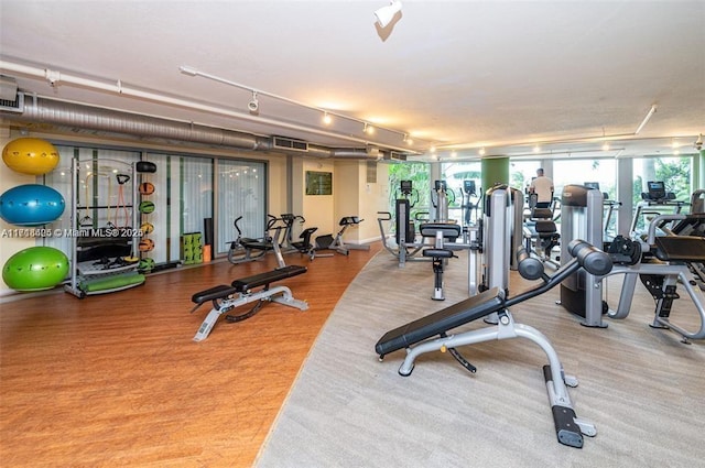 exercise room with hardwood / wood-style floors and expansive windows