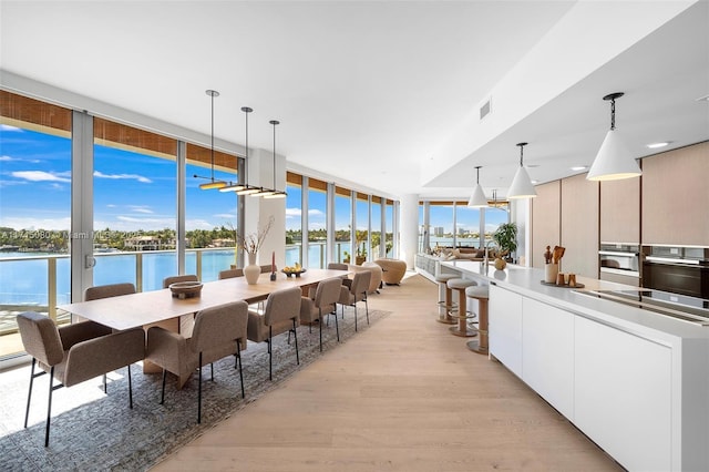 dining space featuring a water view and light hardwood / wood-style floors