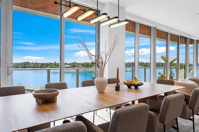 dining room featuring a water view and a healthy amount of sunlight