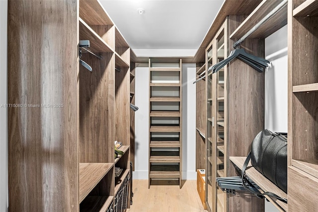 walk in closet with light wood-type flooring