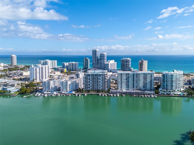 drone / aerial view with a water view