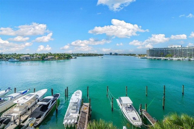 view of dock featuring a water view