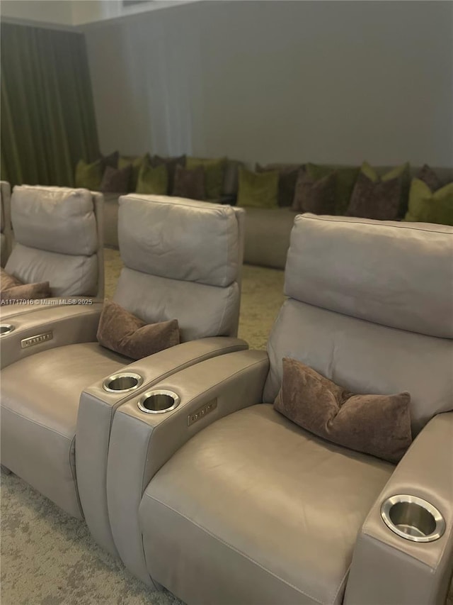 view of cinema room