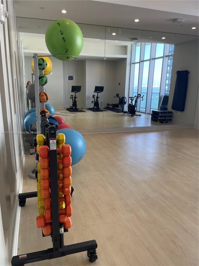 gym featuring hardwood / wood-style flooring and a wall of windows