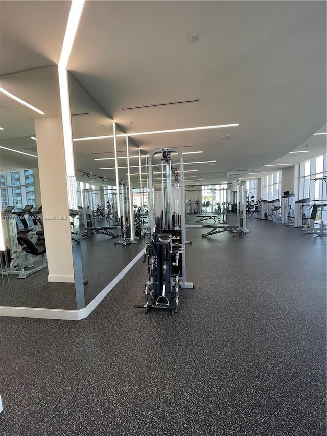 gym featuring a wealth of natural light