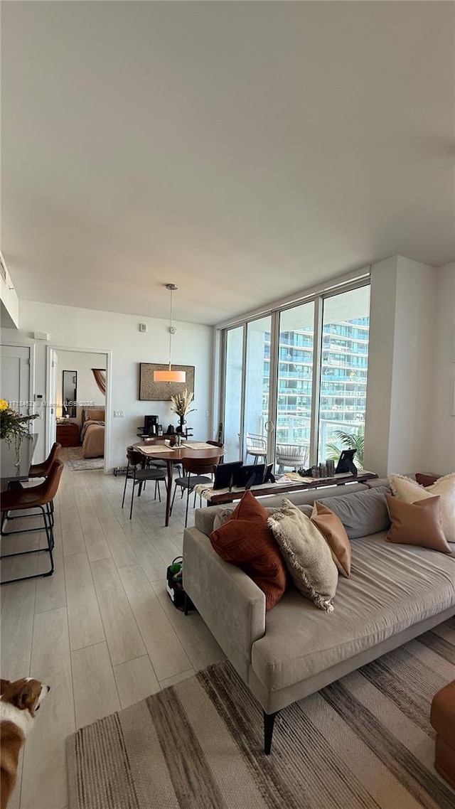 living room with light hardwood / wood-style floors