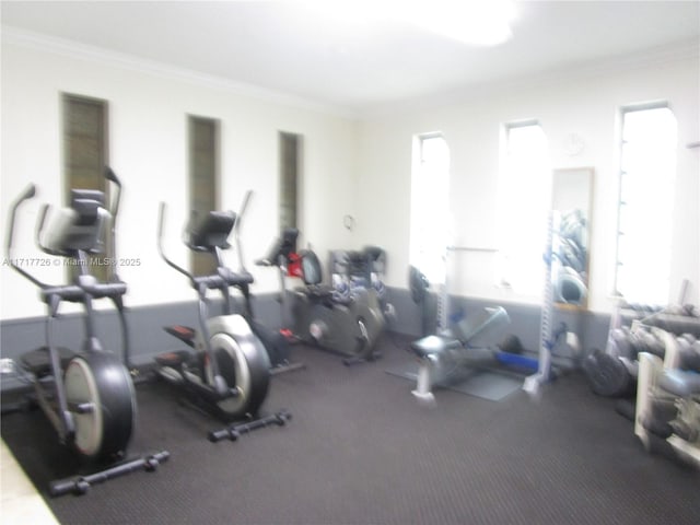 workout area with crown molding and a healthy amount of sunlight