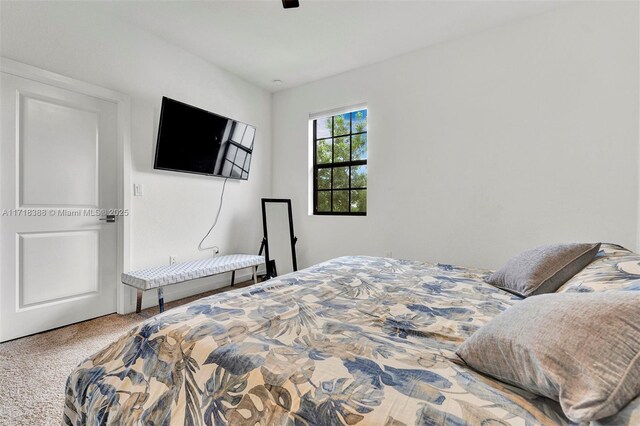 view of carpeted bedroom