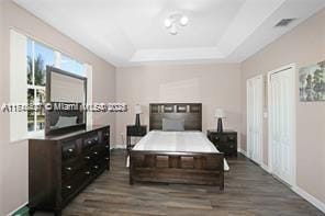 bedroom featuring a raised ceiling, multiple windows, and dark hardwood / wood-style floors