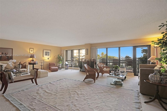 1800 S Ocean Blvd Unit 210, Lauderdale By The Sea, FL 33062 - living room with light carpet and a textured ceiling