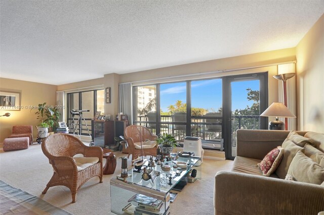 1800 S Ocean Blvd Unit 210, Lauderdale By The Sea, FL 33062 - living room with light colored carpet and a textured ceiling