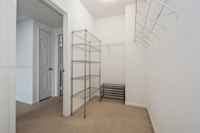 walk in closet featuring light colored carpet