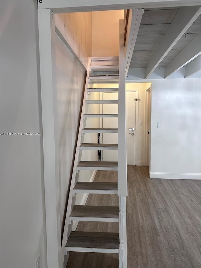 stairs featuring wood-type flooring