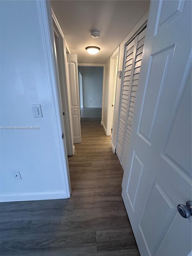 corridor featuring dark wood-type flooring