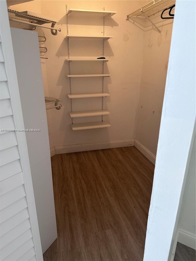 walk in closet with dark hardwood / wood-style floors