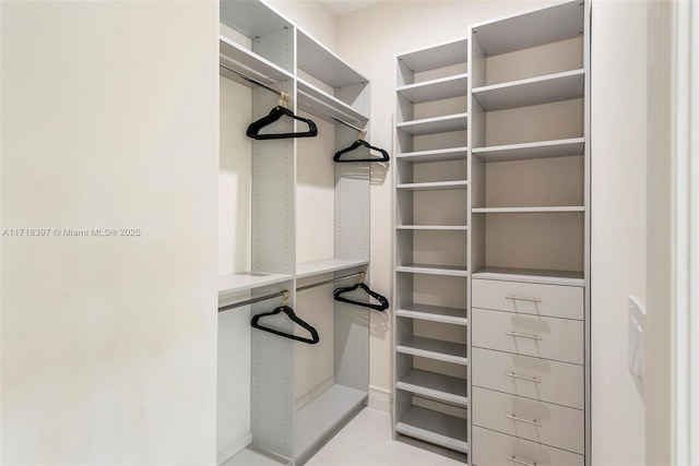 view of spacious closet