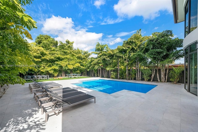 view of pool featuring a patio