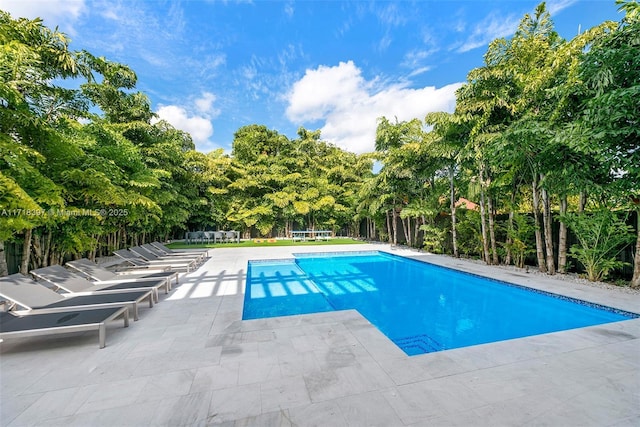 view of pool with a patio