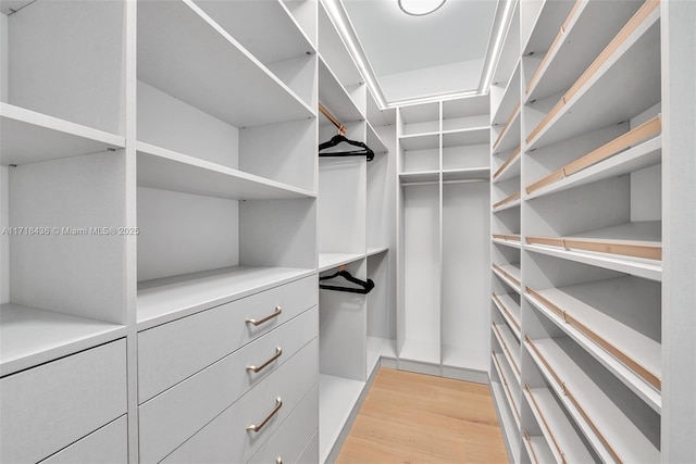 walk in closet featuring light hardwood / wood-style floors