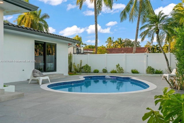 view of pool featuring a patio