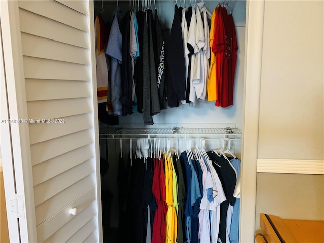 view of closet