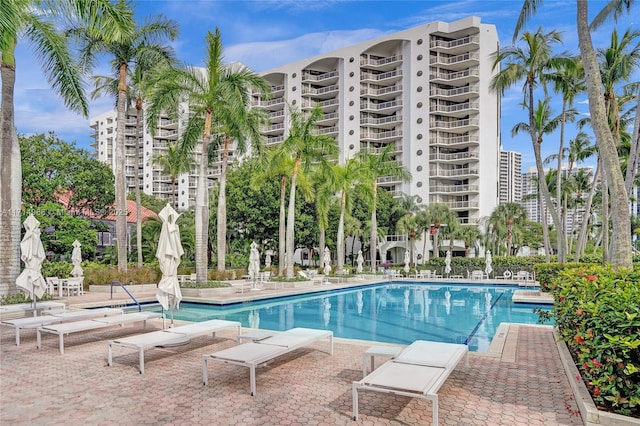 view of swimming pool featuring a patio area